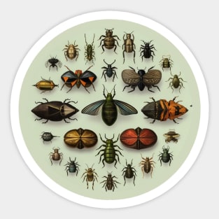 Circular Vintage Insect Entomology #2 Sticker